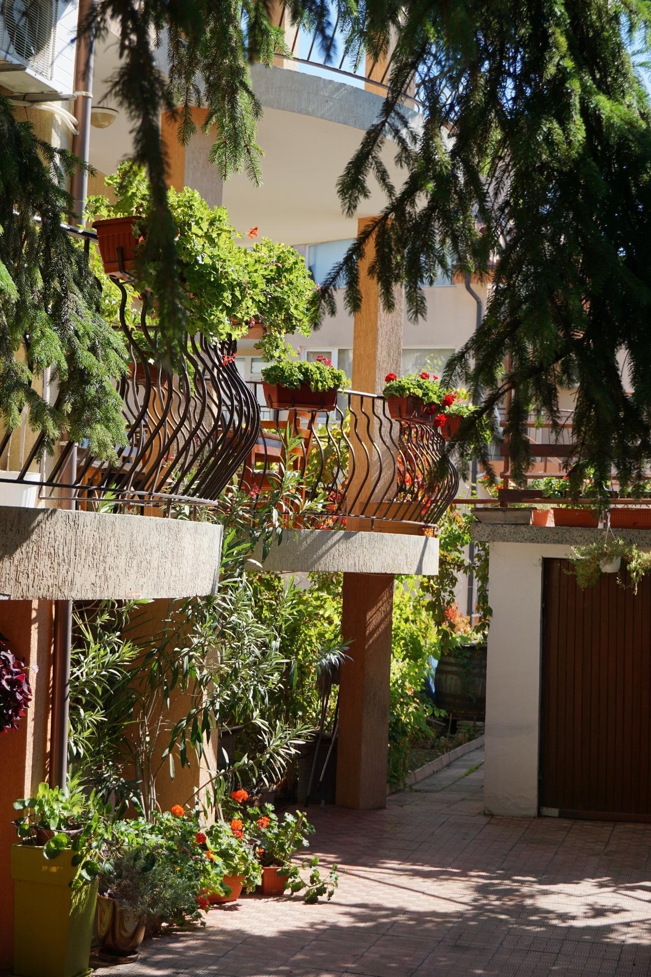 Kalina Guest Rooms Sozopol Eksteriør bilde